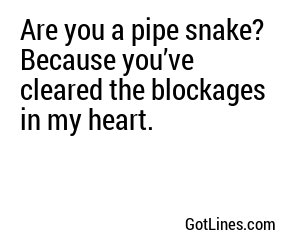 Are you a pipe snake? Because you’ve cleared the blockages in my heart.
