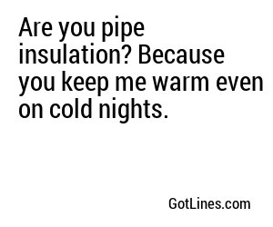 Are you pipe insulation? Because you keep me warm even on cold nights.
