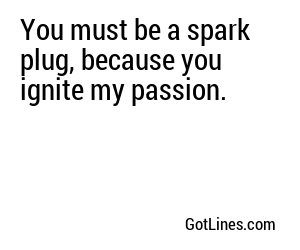 You must be a spark plug, because you ignite my passion.
